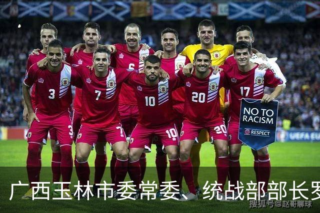 广西玉林市委常委、统战部部长罗莉简历